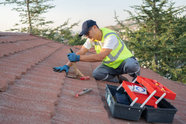 Professional Roofing Contractor in Mcadenville, NC